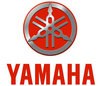 -   Yamaha  